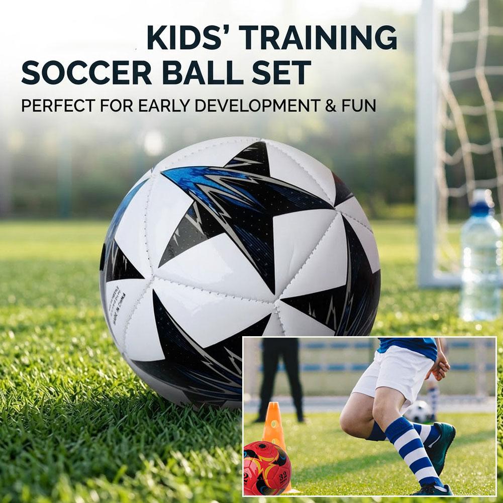 Standard Soccer Ball Professio - đánh giá và giá Outdoor Sport Games