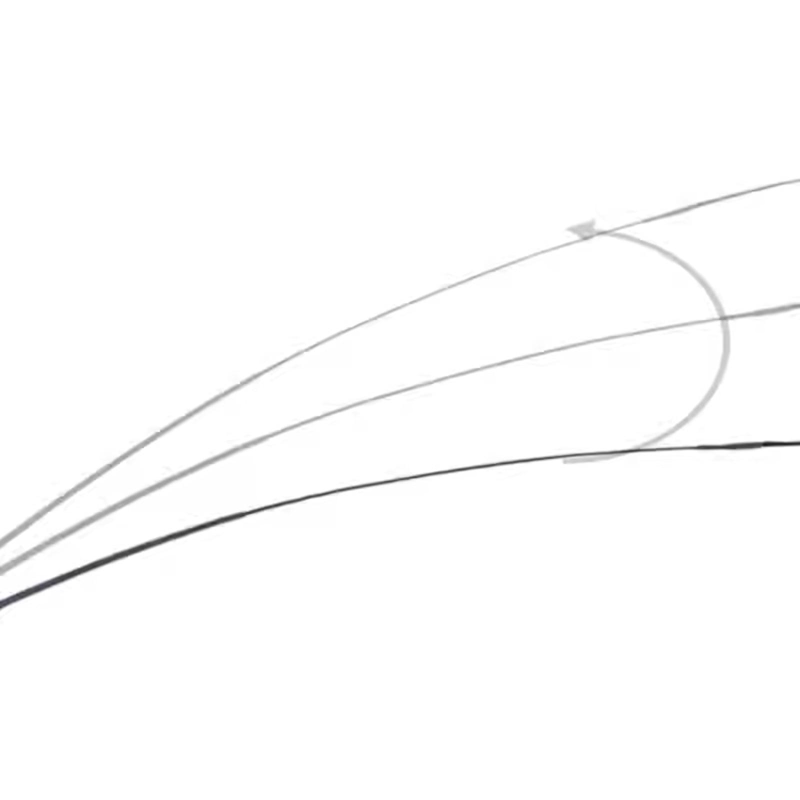 Equestrian Riding Crop Telesco - đánh giá và giá Riding Crop Dressage