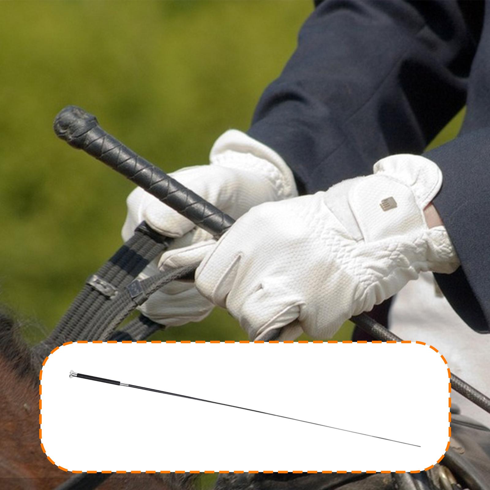 Horse Riding Crop Equestrian R - đánh giá và giá Riding Crop Dressage