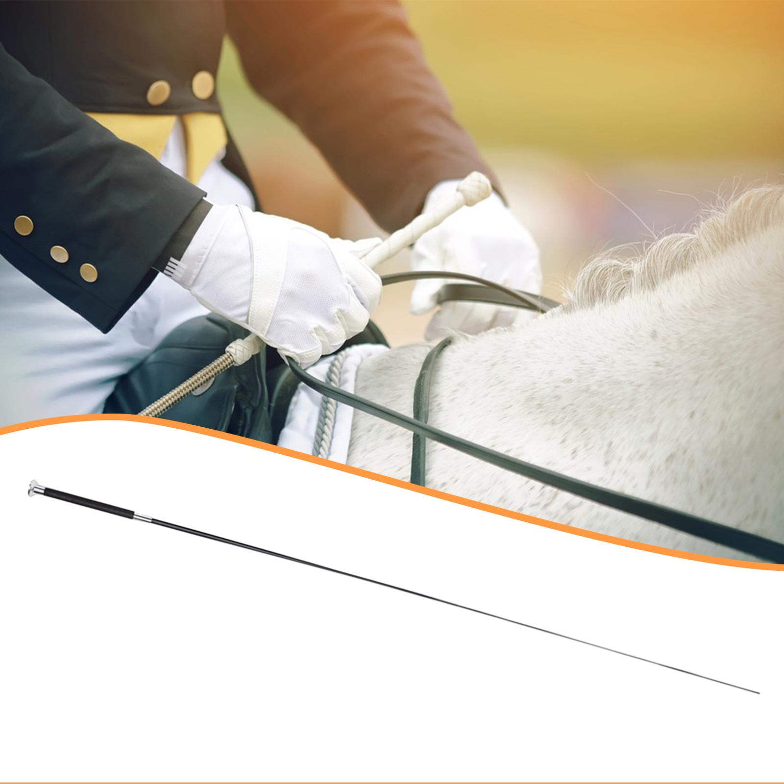Adjustable Riding Crop Telesco - đánh giá và giá Riding Crop Dressage